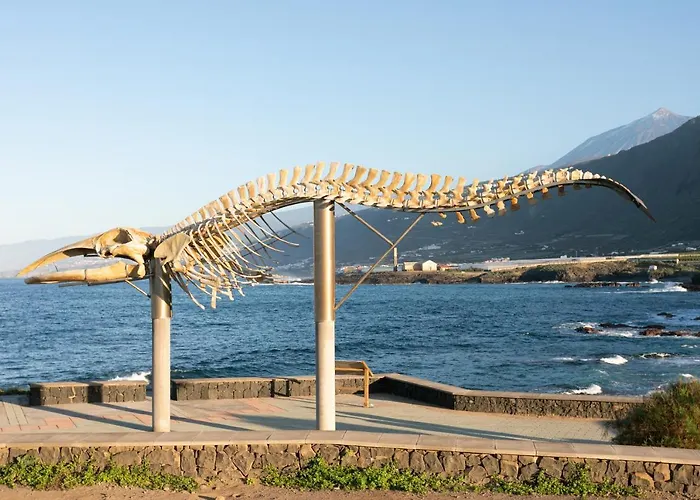 Home2book Spectacular Silos, Terrace Lejlighed *